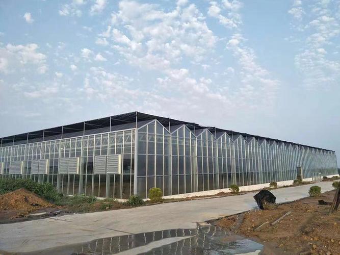 植物工廠的技術(shù)有哪些優(yōu)勢(shì)？